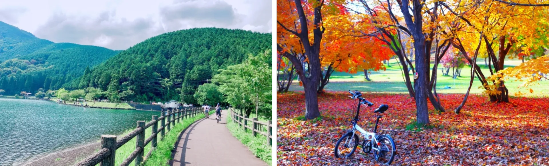 サイクリング　湖　新緑　深緑　紅葉　楽しみ方