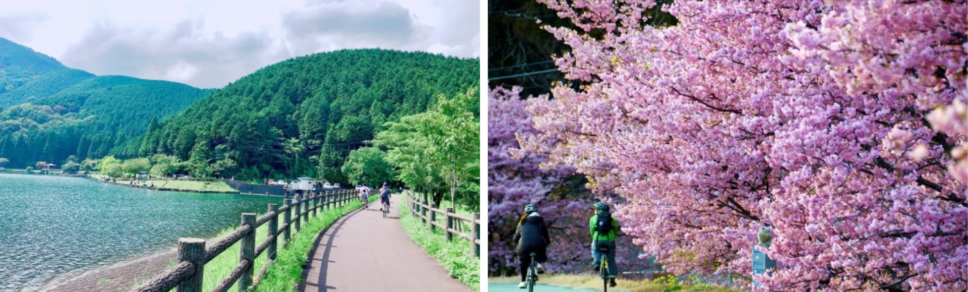 サイクリング　湖　桜　キャンプ　楽しみ方